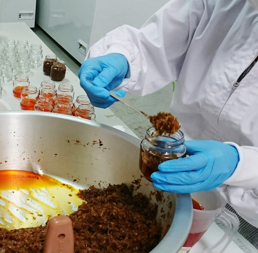 アグリット久米島 調理風景03